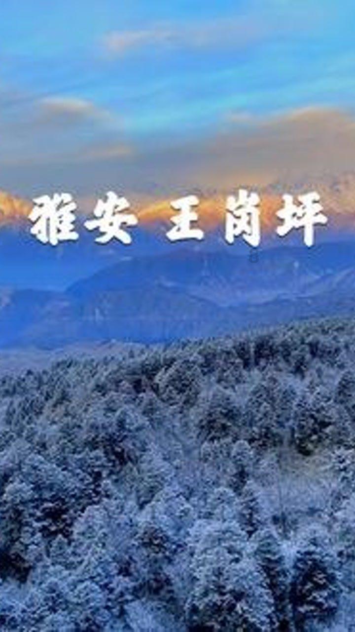 海报图品|中小学生寒假安全提示